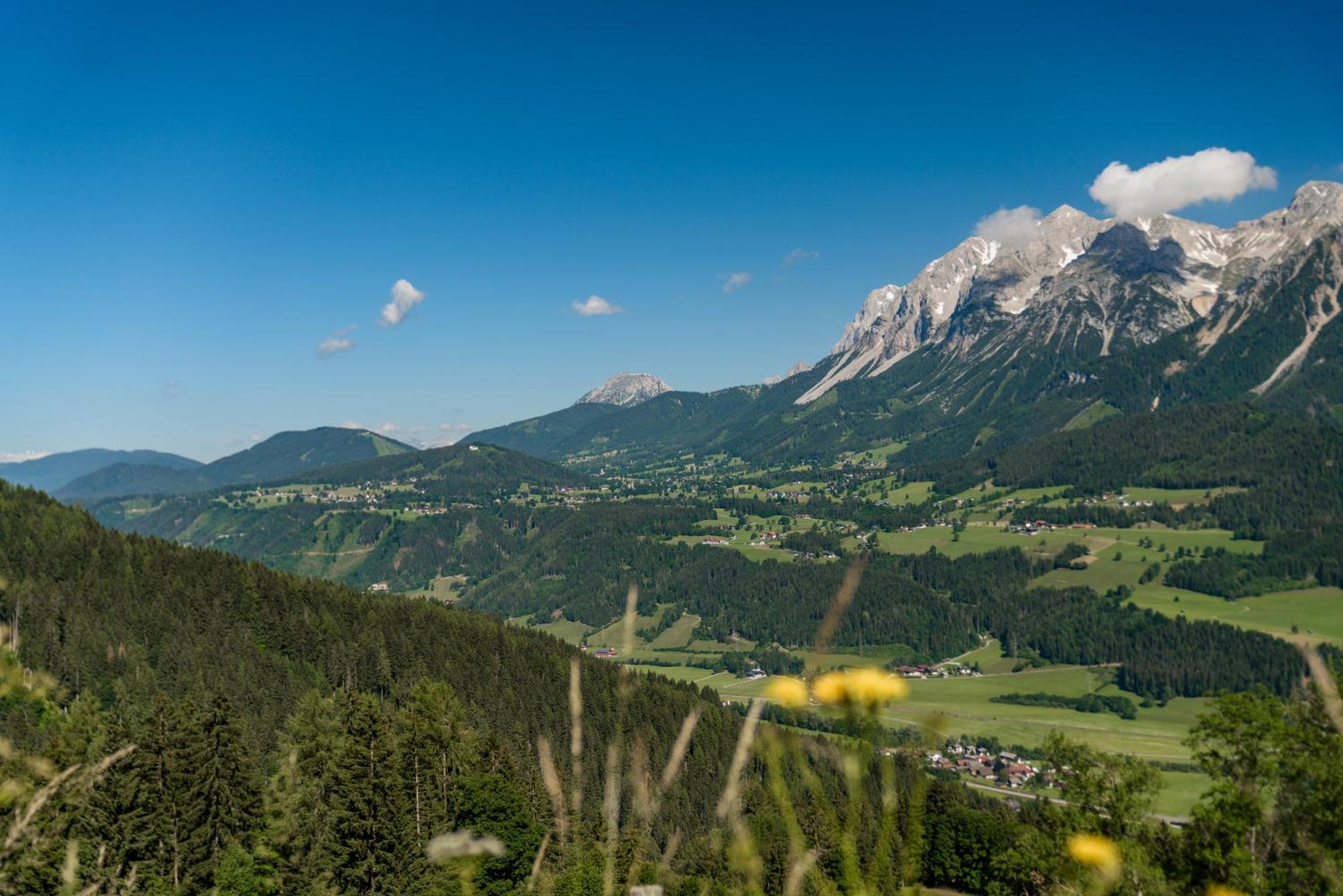 Apparthaus Taxegger Haus im Ennstal Exterior foto