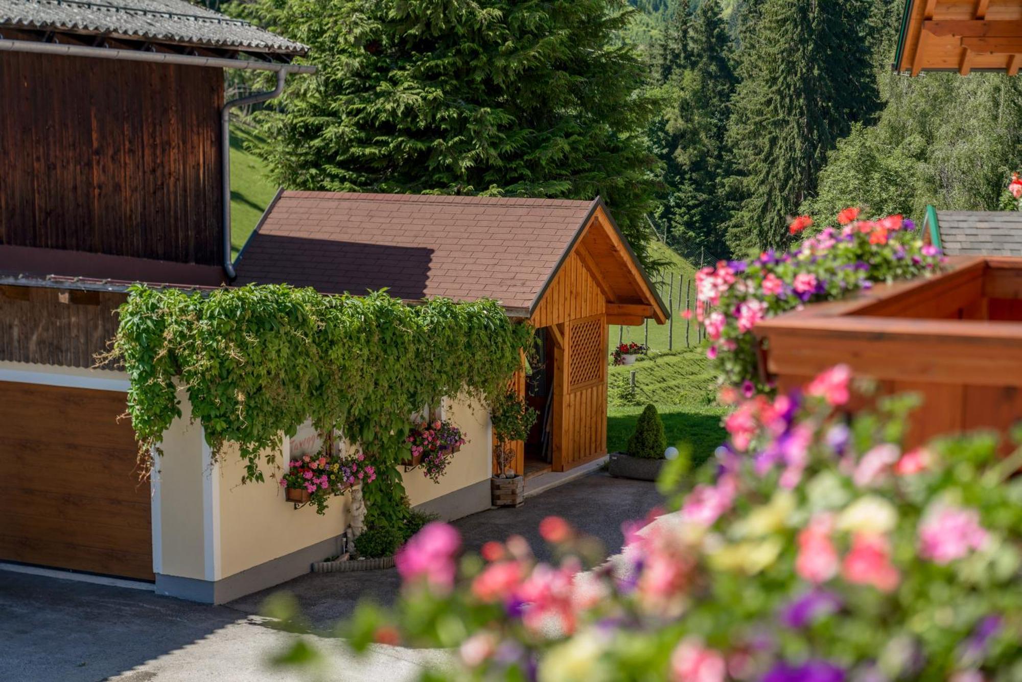 Apparthaus Taxegger Haus im Ennstal Exterior foto