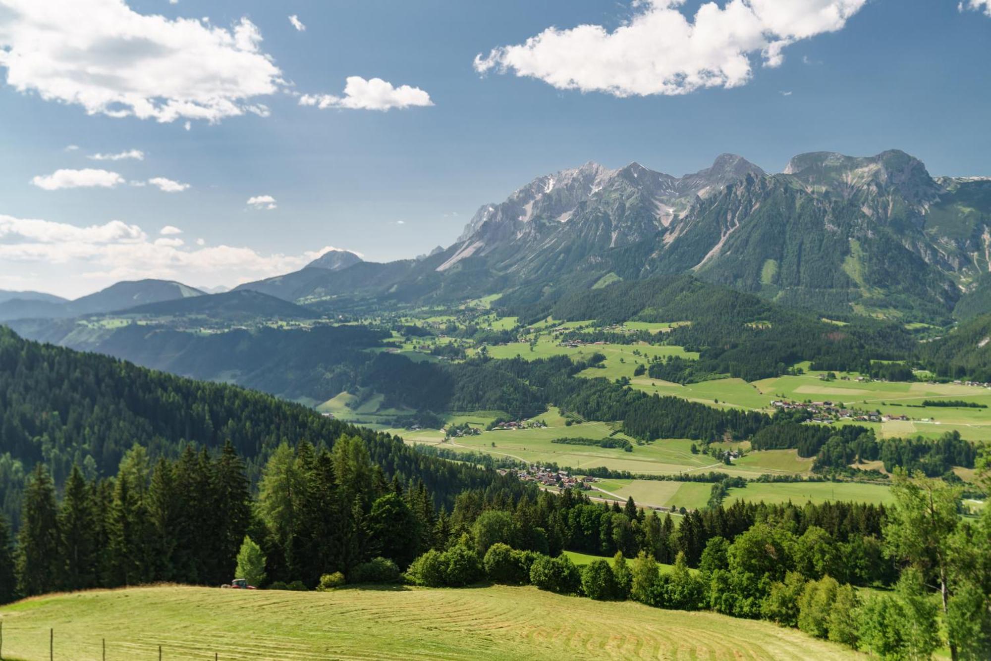 Apparthaus Taxegger Haus im Ennstal Exterior foto