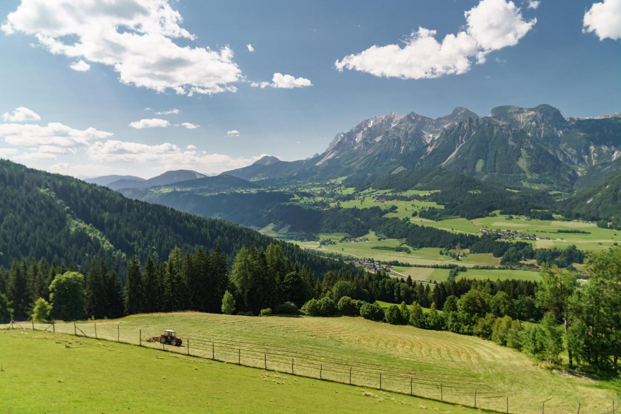 Apparthaus Taxegger Haus im Ennstal Exterior foto